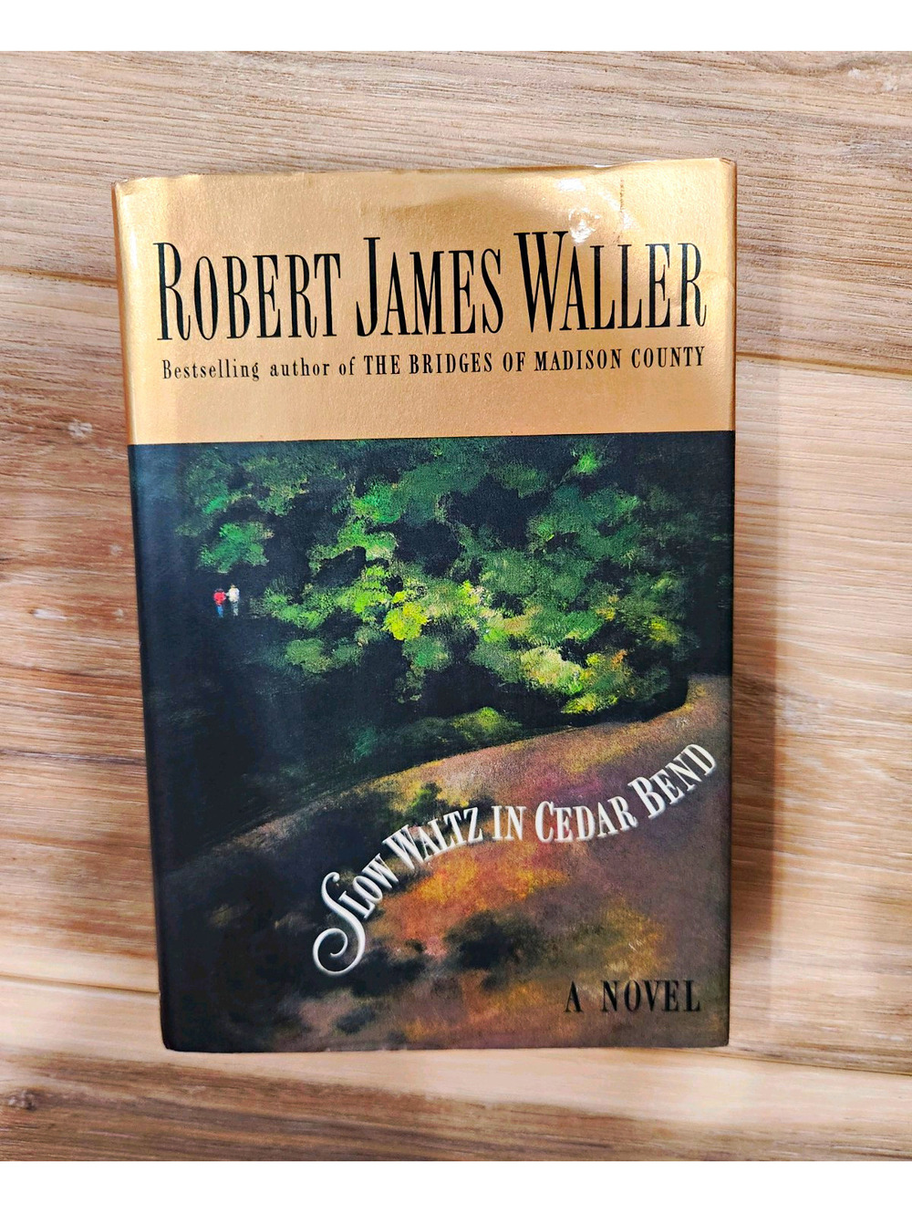 Robert James Waller Slow Waltz in Cedar Bend 1993 Hardcover 1st Printing DJ